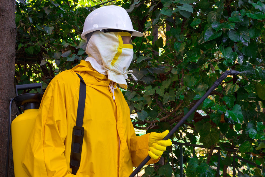 How Much Does Pest Control Cost?