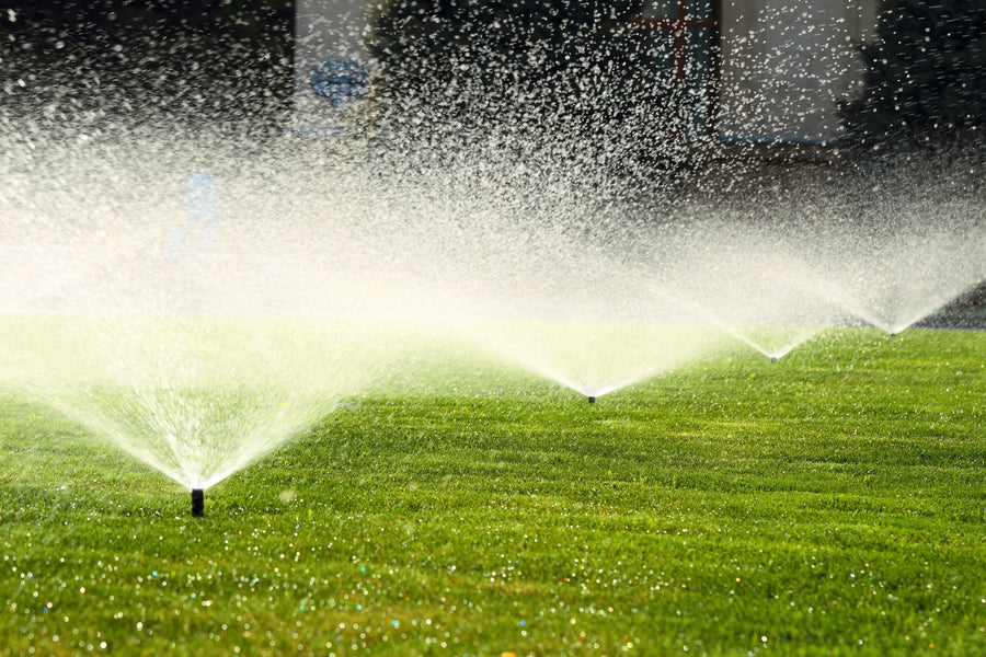 Why Is Automatic Pest Control the Best Solution for Pests?
