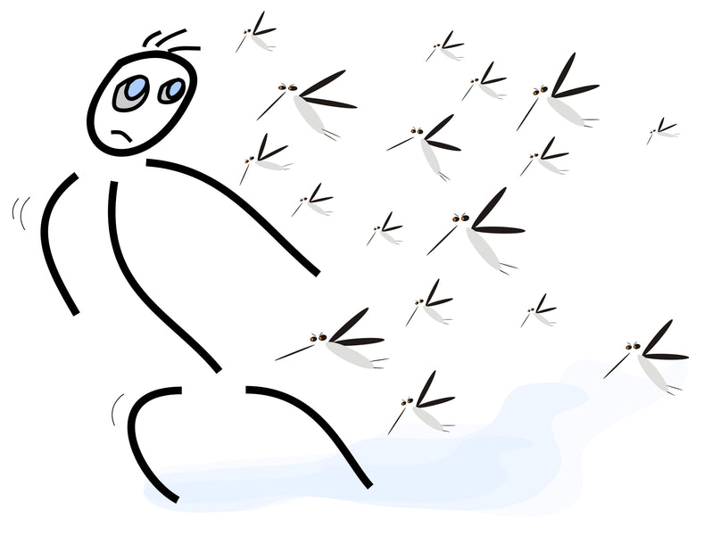 How to Control Mosquitoes