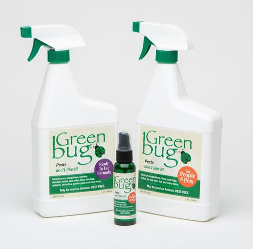 Greenbug Did You Bring Bed Bugs Home?